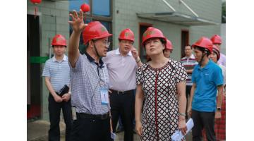 南寧市委常委、副市長陳穎一行蒞臨公司調(diào)研