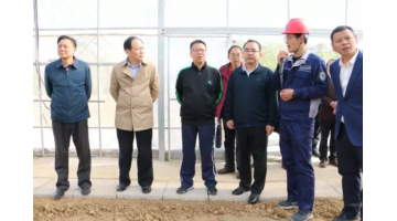 湖北生態(tài)環(huán)境廳黨組成員、副廳長李瑞勤調(diào)研公司農(nóng)用地修復(fù)項(xiàng)目