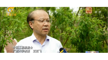 博世科緊跟偉大復(fù)興領(lǐng)航人踔厲篤行 共創(chuàng)“美麗環(huán)境 美麗經(jīng)濟 美麗生活”