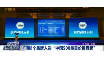 【媒體聚焦】博世科作為環(huán)保產(chǎn)業(yè)唯一一家企業(yè)入選2022年中國500最具價(jià)值品牌